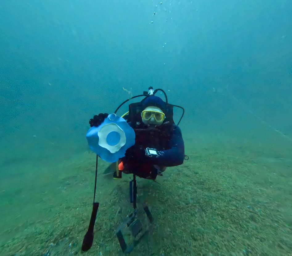 ¡Feliz Día de la Independencia!