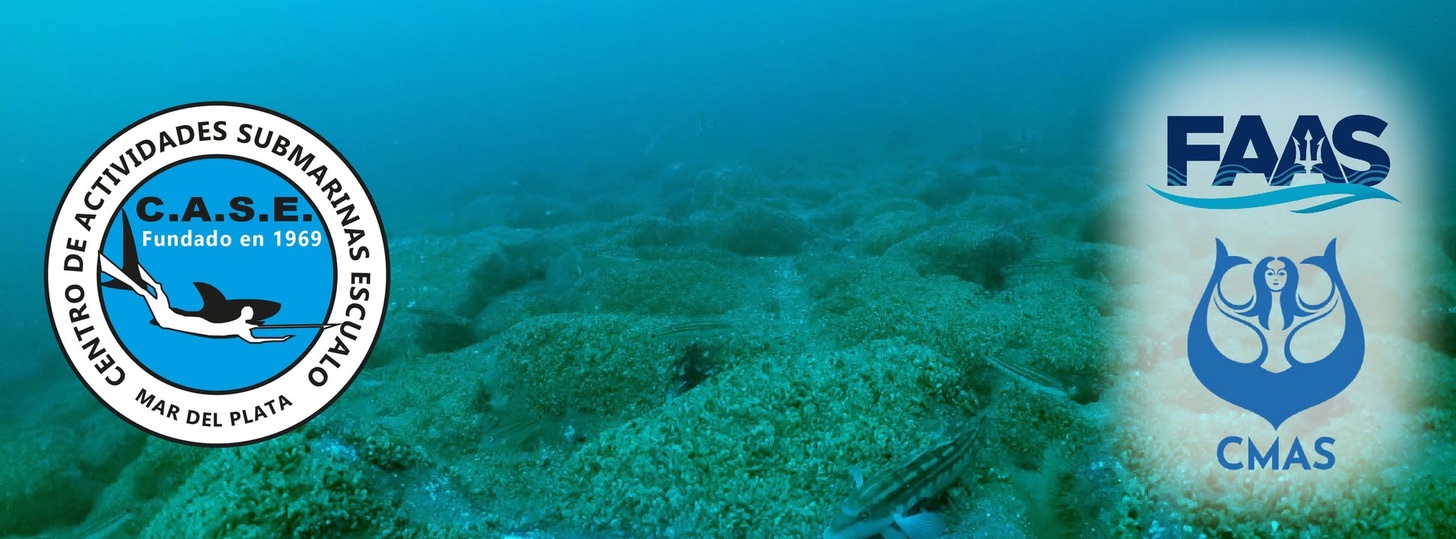 Fondo marino - CASE